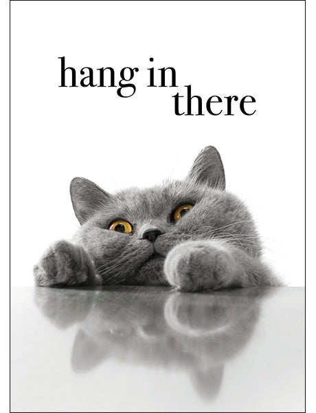 M50 - Hang in there - Animal greeting card