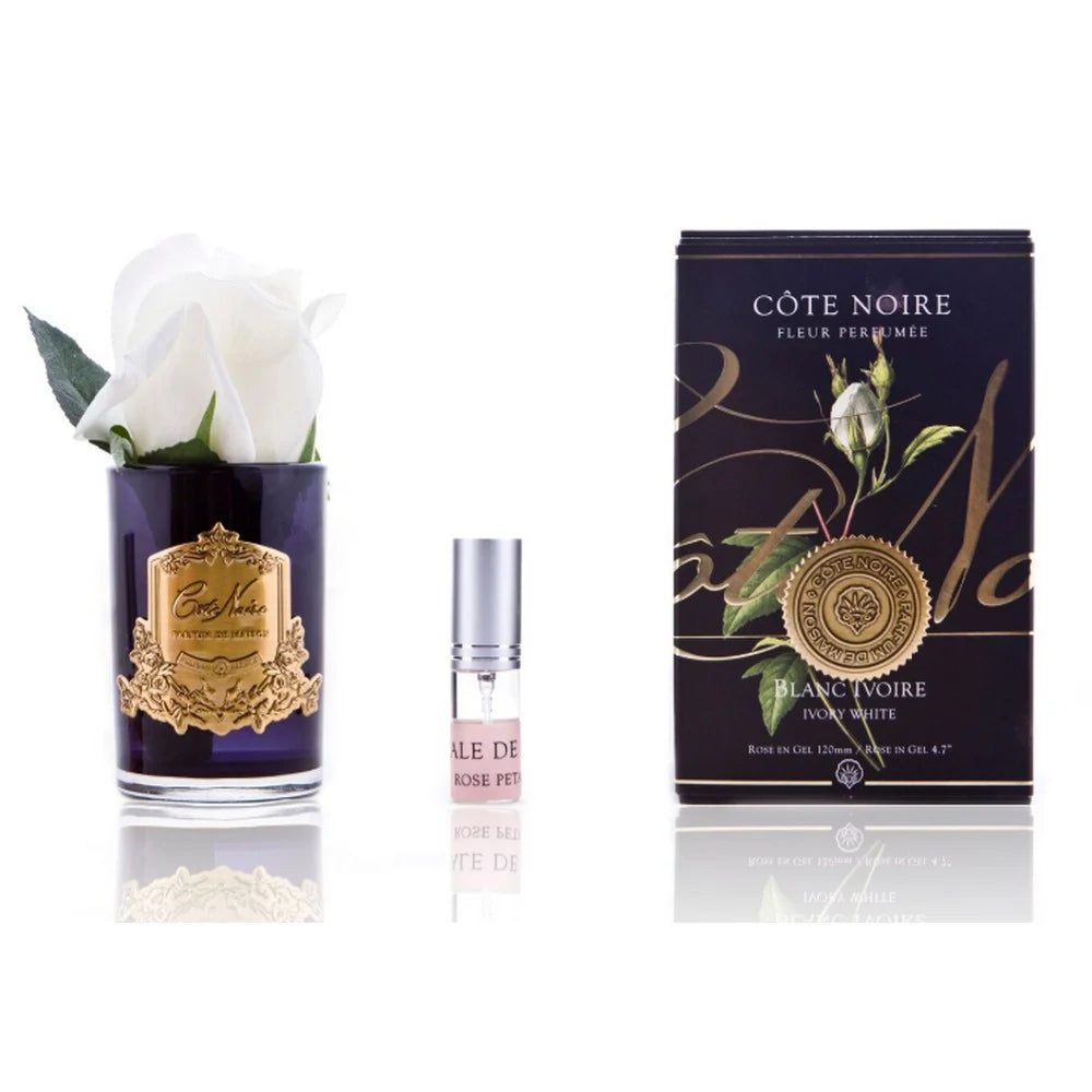 Rose Bud Ivory White black glass w gold crest