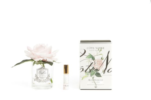 Single French Rose French Pink clear