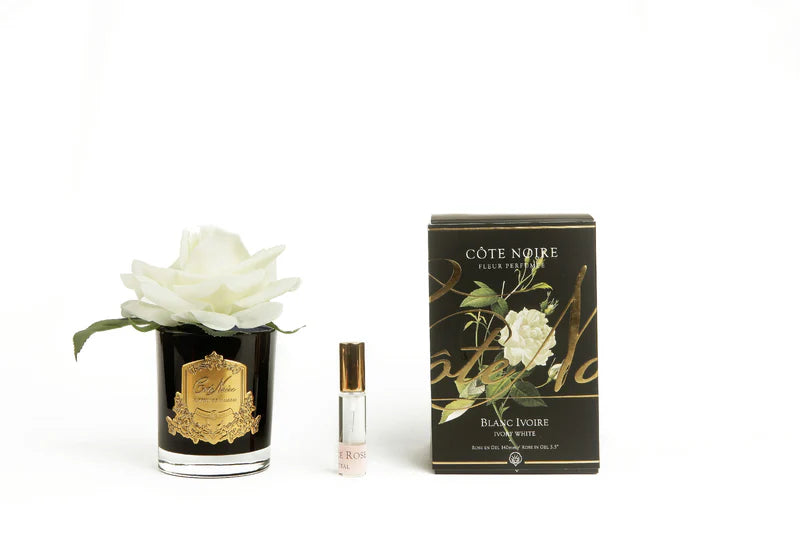 Single French Rose Ivory White black w gold crest