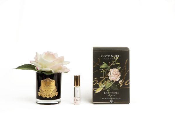 Single French Rose Pink Blush black