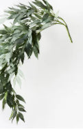 Eucalyptus Hanging Bush - 110cm
