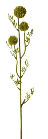 Pom Pom Seeding Spray Green 12x12x61cm