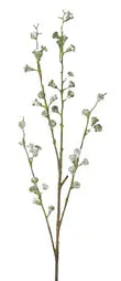 Gum Nut Stem Grey/Green - 90cm