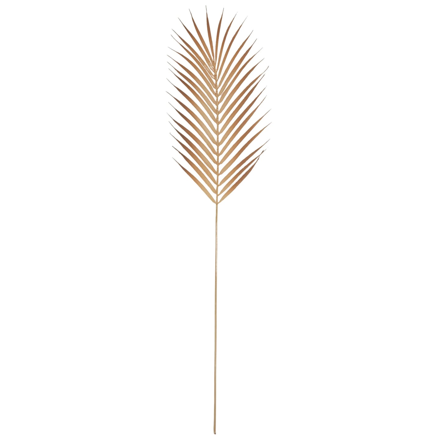 Palm Leaf Stem Natural - 81cm