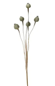 Poppy Seed Spray Grey - 76cm