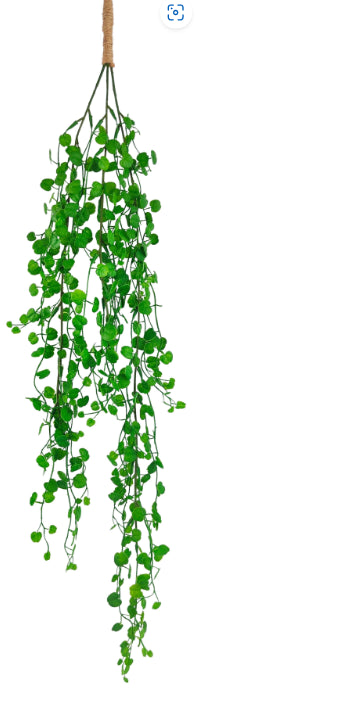 String of Hearts Plant Green - 89cm