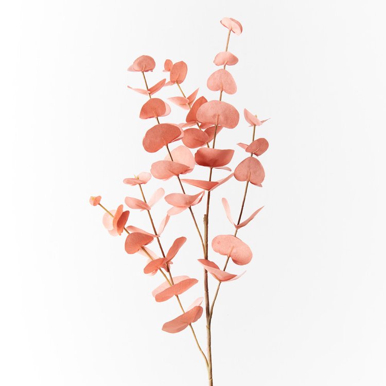 Eucalyptus Silver Dollar Dusty Pink - 78cm