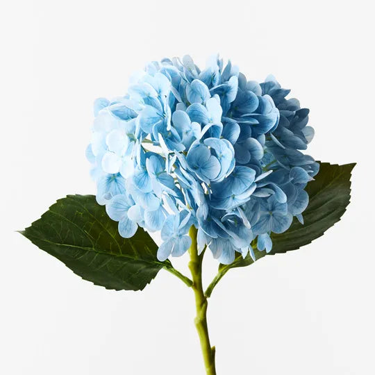Hydrangea Light Blue - 49cm