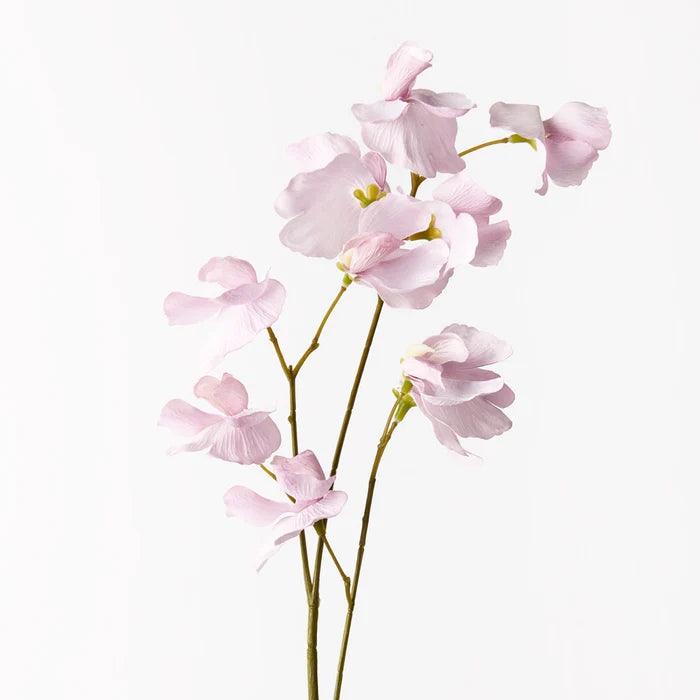 Sweet Pea Spray - Lavender 60cml