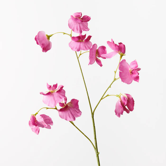 Sweet Pea Spray Fuschia 60cml