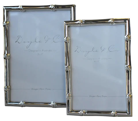 Silver Plated Bamboo Frame - 4x6