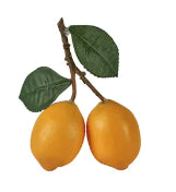 Lemon Branch