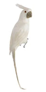 Crawford Glitter Beak Parrot White