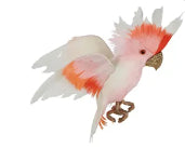 Galah Flying Bird Small Pink