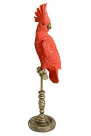 Ornithology Cacatoes Royale