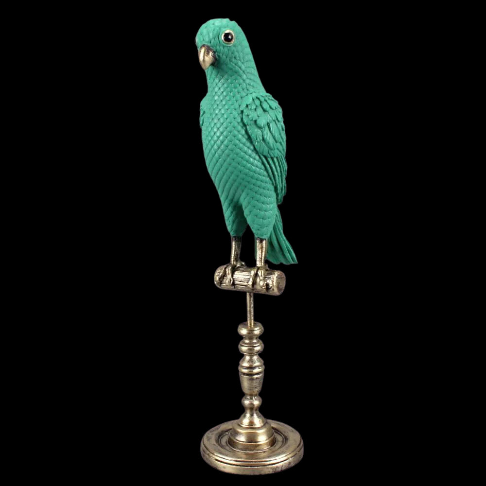Ornithology Emperor Perroquet
