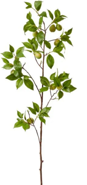 Fruit Branch