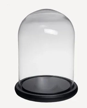 Medium Dome Black Base